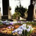 INFORMAZIONI SUI CIMITERI DI MILANO